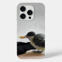 Tidi my Bird the Parus Major