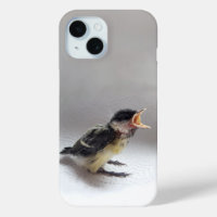 Tidi my Bird the Parus Major