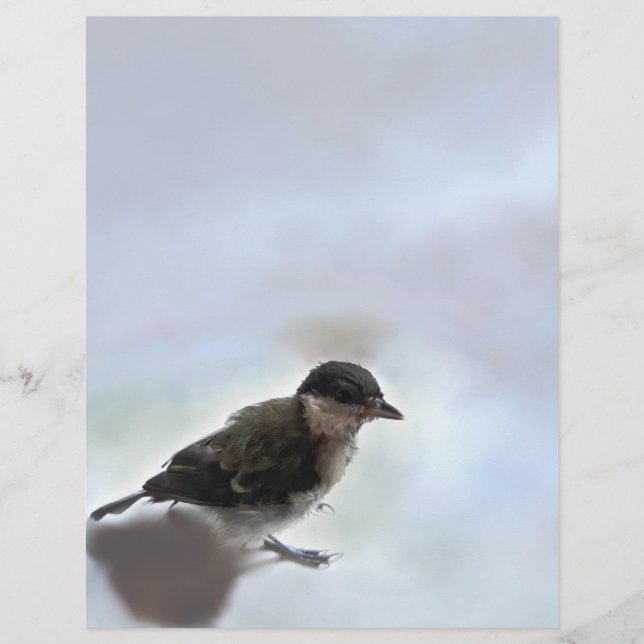 Tidi my Bird the Parus Major Custom Letterhead (Front)