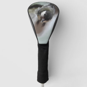 Tidi my Bird the Parus Major Golf Head Cover