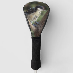Tidi my Bird the Parus Major Golf Head Cover