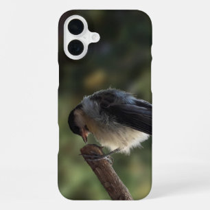 Tidi my Bird the Parus Major iPhone 16 Plus Case