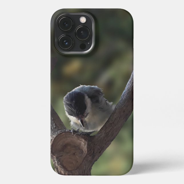 Tidi my Bird the Parus Major iPhone Case (Back)