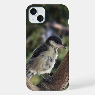 Tidi my Bird the Parus Major iPhone 15 Plus Case