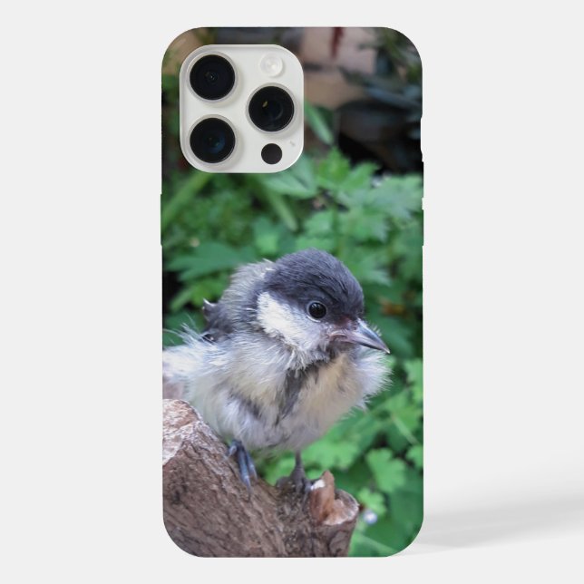 Tidi my Bird the Parus Major iPhone Case (Back)
