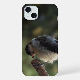 Tidi my Bird the Parus Major iPhone 15 Plus Case