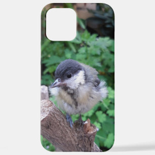 Tidi my Bird the Parus Major iPhone 12 Pro Max Case