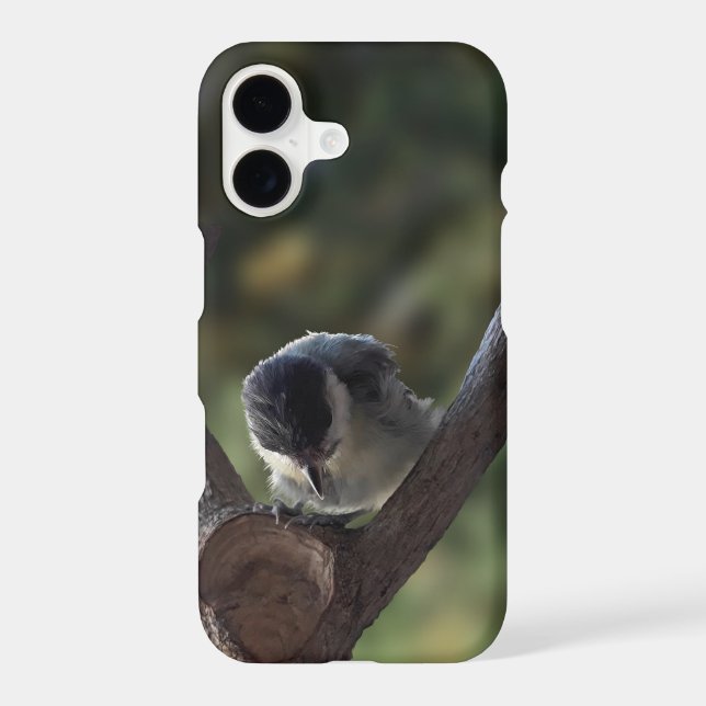 Tidi my Bird the Parus Major iPhone Case (Back)
