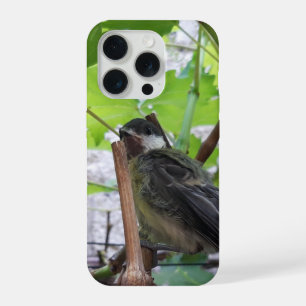 Tidi my Bird the Parus Major iPhone 15 Pro Case