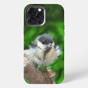 Tidi my Bird the Parus Major iPhone 13 Pro Max Case