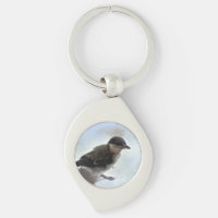 Tidi my Bird the Parus Major