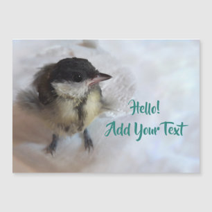 Tidi my Bird the Parus Major Magnetic Card