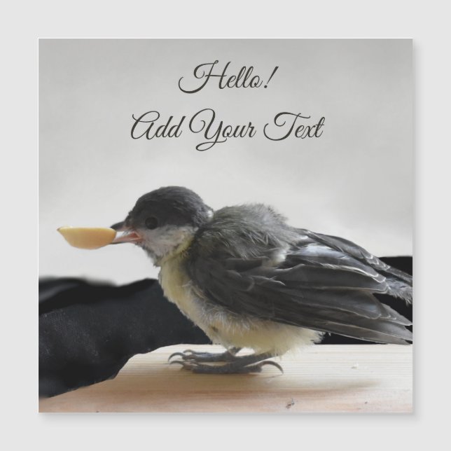 Tidi my Bird the Parus Major Magnetic Card (Front)
