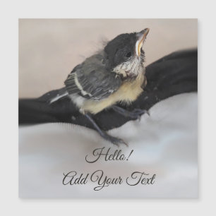 Tidi my Bird the Parus Major Magnetic Card
