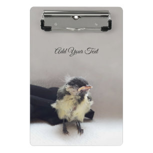 Tidi my Bird the Parus Major Mini Clipboard