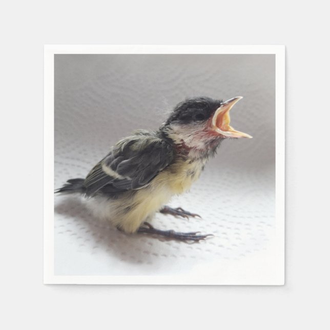 Tidi my Bird the Parus Major Napkin (Front)