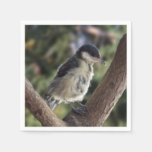Tidi my Bird the Parus Major Napkin