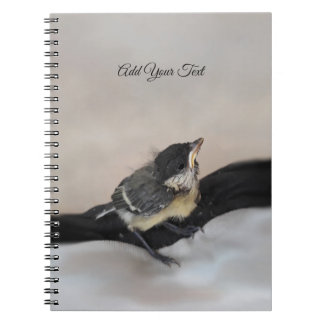 Tidi my Bird the Parus Major Notebook