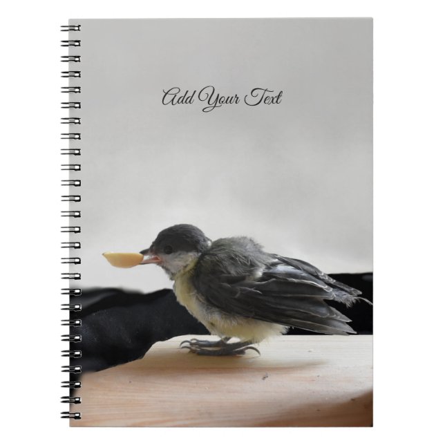Tidi my Bird the Parus Major Notebook (Front)