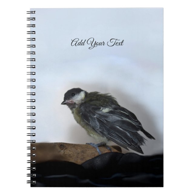 Tidi my Bird the Parus Major Notebook (Front)