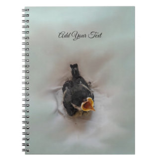 Tidi my Bird the Parus Major Notebook