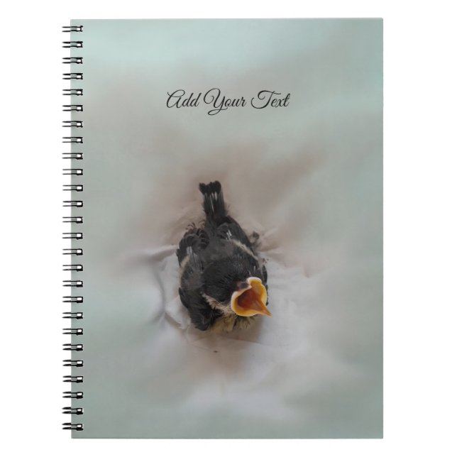 Tidi my Bird the Parus Major Notebook (Front)