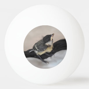 Tidi my Bird the Parus Major Ping Pong Ball