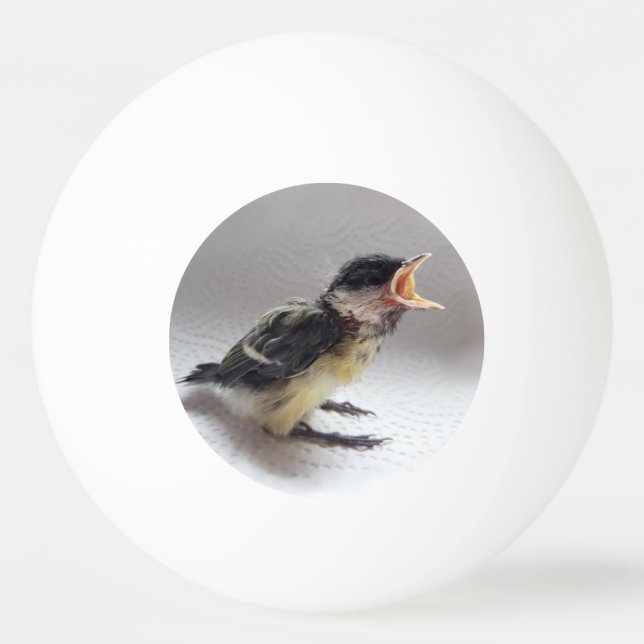 Tidi my Bird the Parus Major Ping Pong Ball (Front)