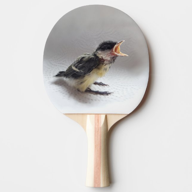 Tidi my Bird the Parus Major Ping Pong Paddle (Front)