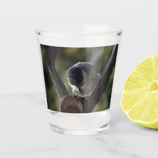 Tidi my Bird the Parus Major Shot Glass