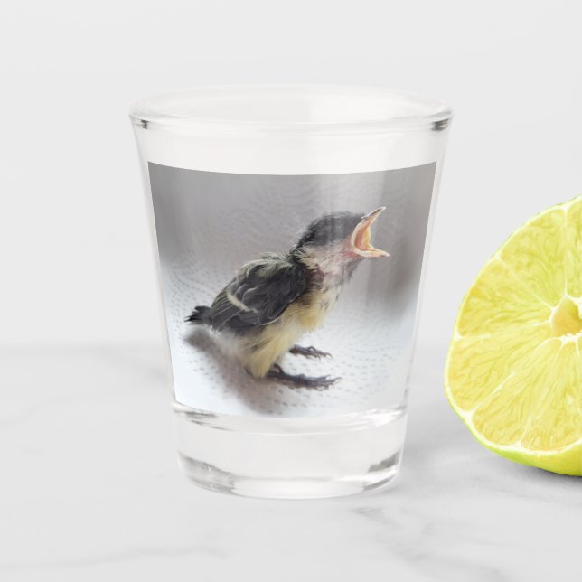 Tidi my Bird the Parus Major Shot Glass (Front)