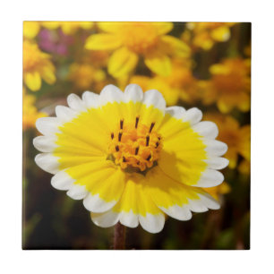 Tidy Tip Wildflowers Tile