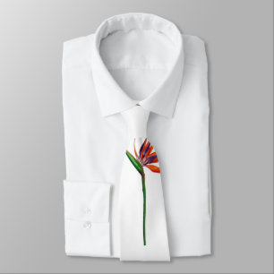  Tie