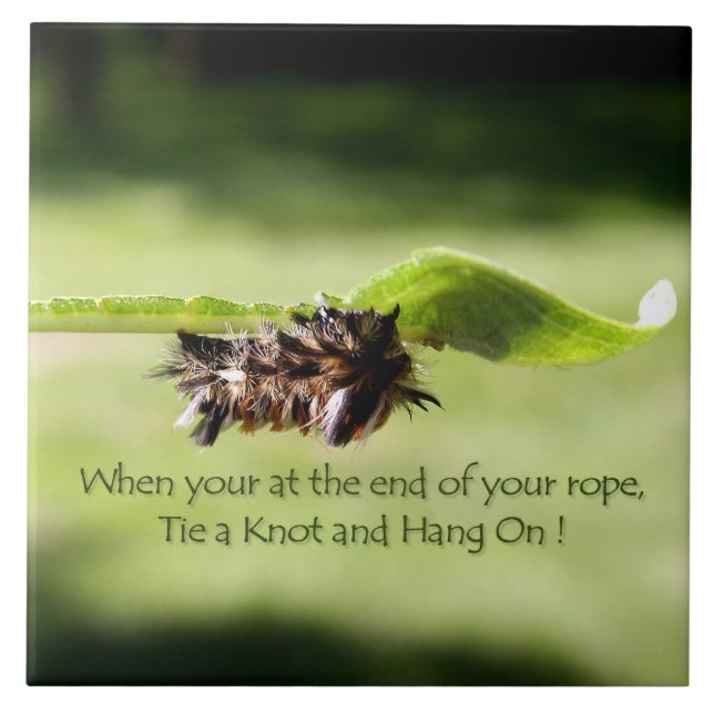 "Tie a Knot and Hang On" Decrotive Ceramic Tile (Front)