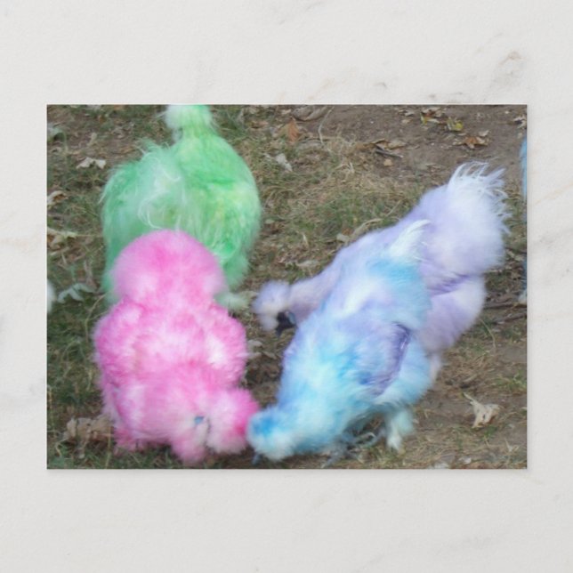 Tie Dyed Silkie Chickens in Pastel Easter Colours Holiday Postcard (Front)