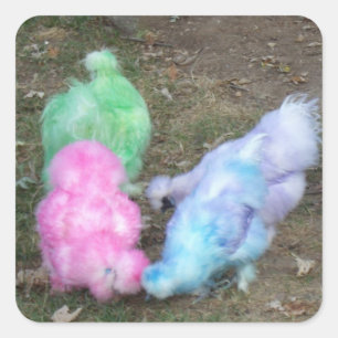 Tie Dyed Silkie Chickens in Pastel Easter Colours Square Sticker