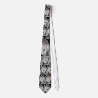 Tie, White Cat Tie