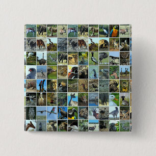 Tiere der Welt 15 Cm Square Badge