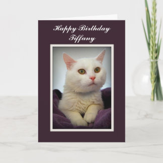 Tiffany Happy Birthday White Cat Card