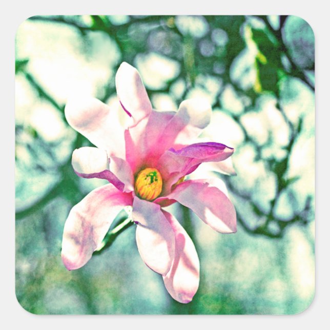 Tiffany Magnolia Square Sticker (Front)