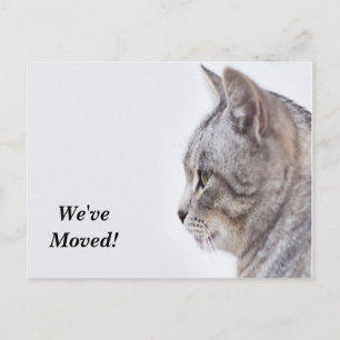 Tiffany We've Moved New Address Postcard