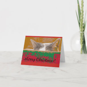 Tiffany wishes you a Merry Christmas Holiday Card