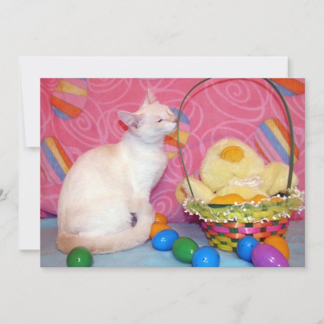 Tiffanys Easter Basket - Cat/ Kitten  - Flat Card (Front)