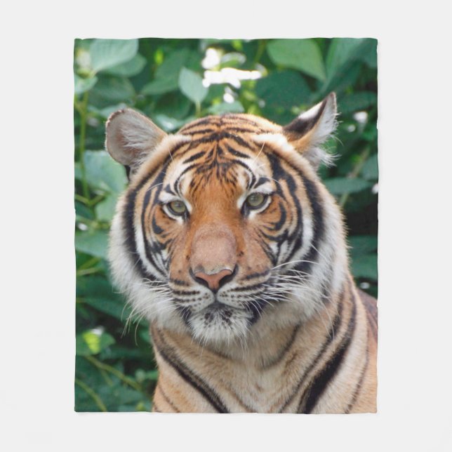 Tiger 001 fleece blanket (Front)