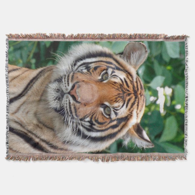 Tiger 001 throw blanket (Front)