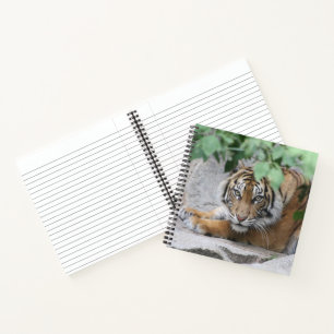 Tiger 008 notebook