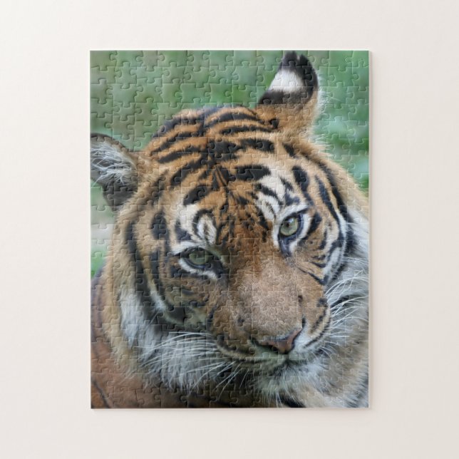 Tiger 012 jigsaw puzzle (Vertical)
