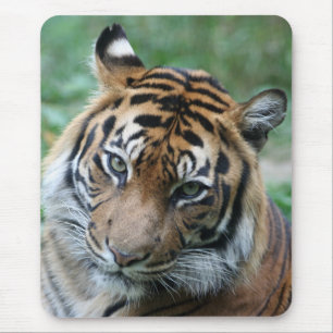 Tiger 013 mouse pad