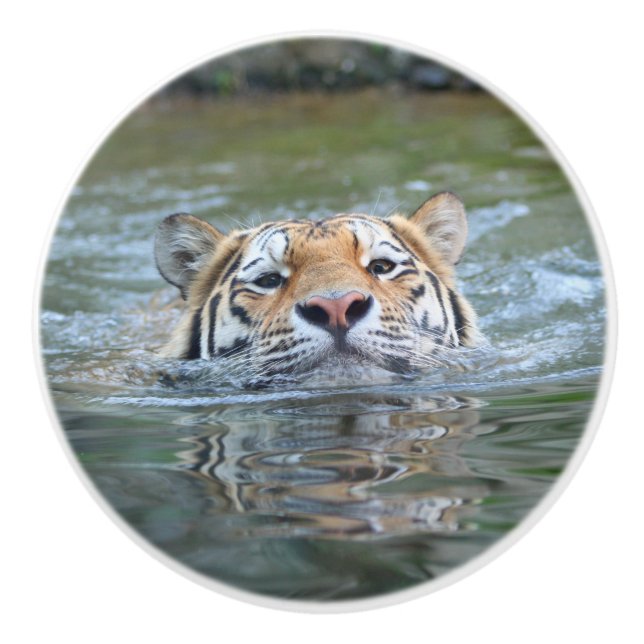 Tiger 028 ceramic knob (Front)