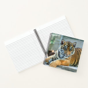 Tiger 034 notebook